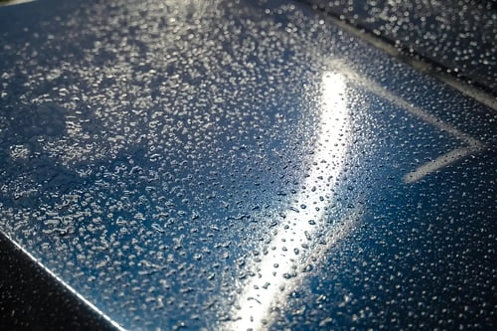 Close-up of a glossy dark blue epoxy floor coating with a decorative flake finish