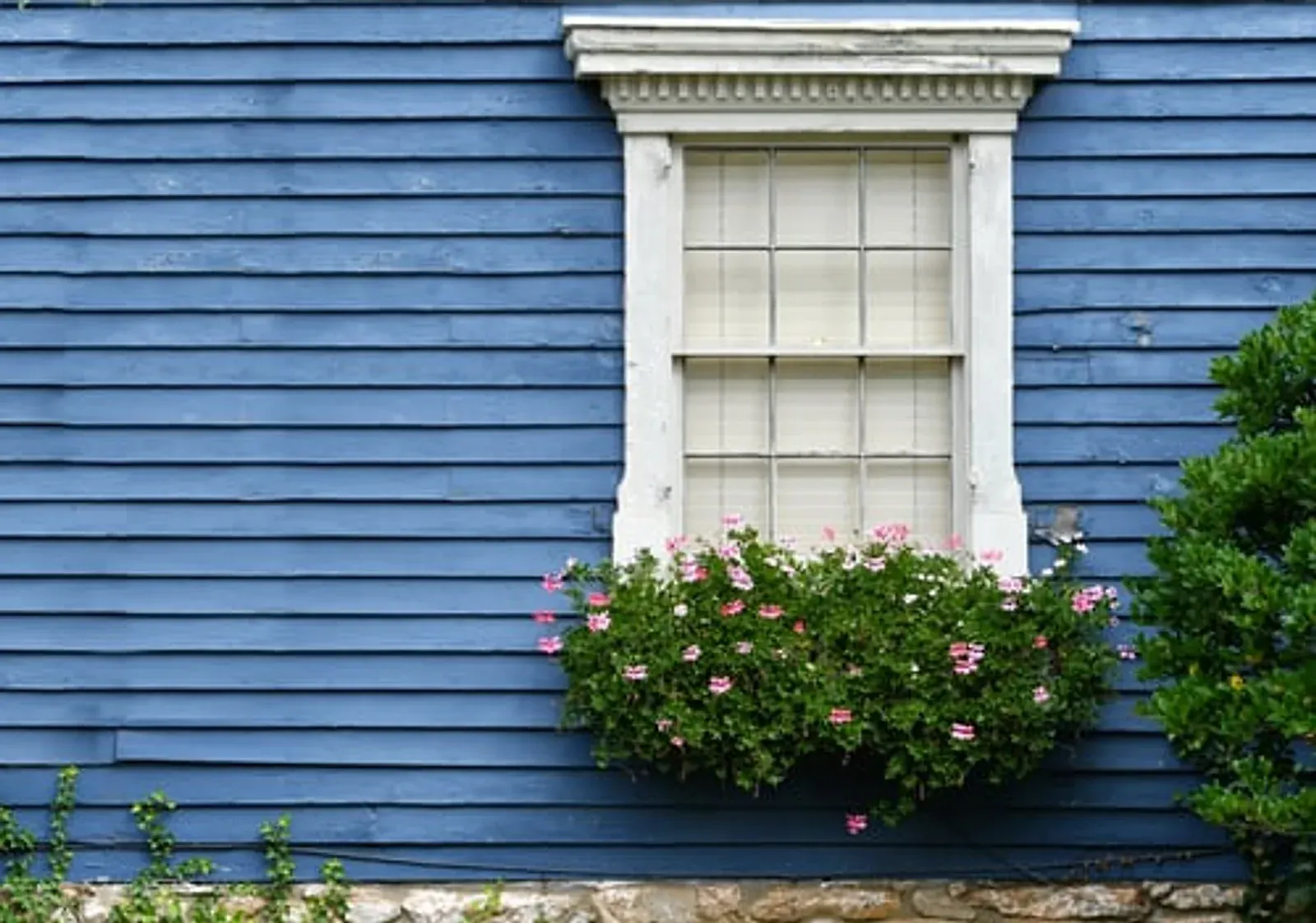 Blue painted wood siding with white window trim and a flower box